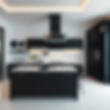 Stylish black and white kitchen featuring modern design elements