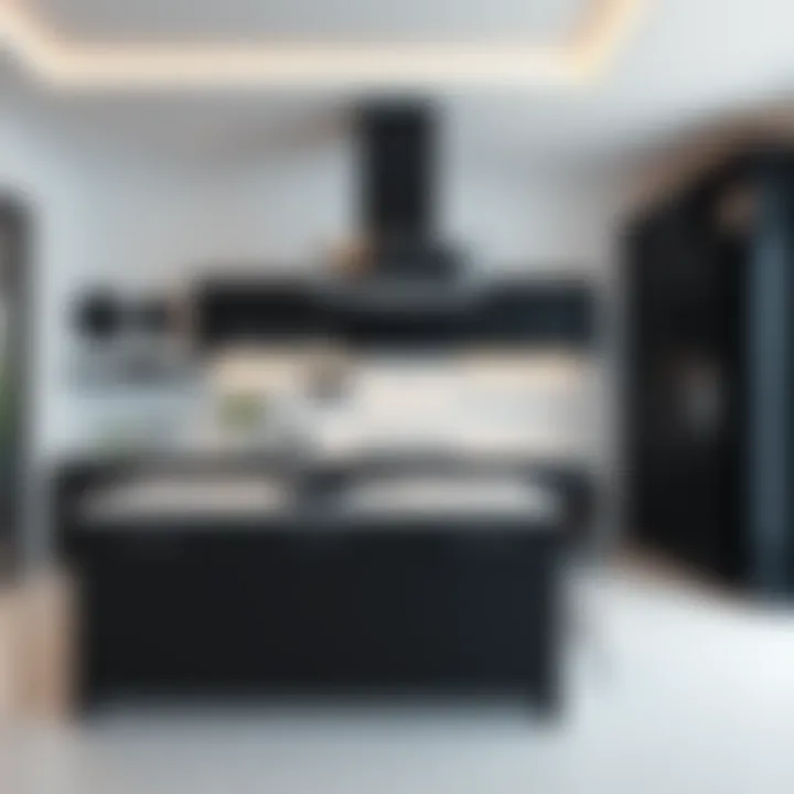 Stylish black and white kitchen featuring modern design elements