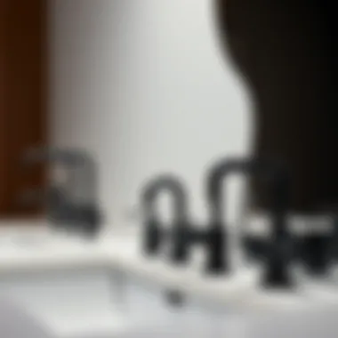 Diverse Designs of Black Sink Faucets Different styles of black sink faucets displayed together