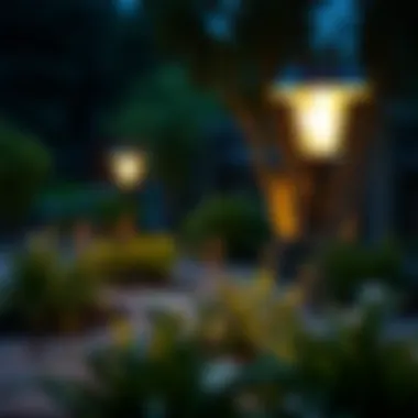 Solar lights illuminating a garden landscape