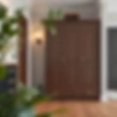 Functional entryway with a stylish two-door wardrobe