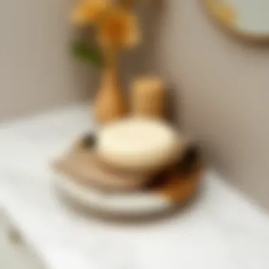 Stylish soap dish showcasing various materials