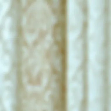 Intricate Fabric Patterns of Sheer Curtains Close-up of delicate fabric patterns in curtain design