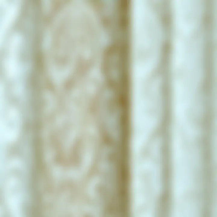 Intricate Fabric Patterns of Sheer Curtains Close-up of delicate fabric patterns in curtain design