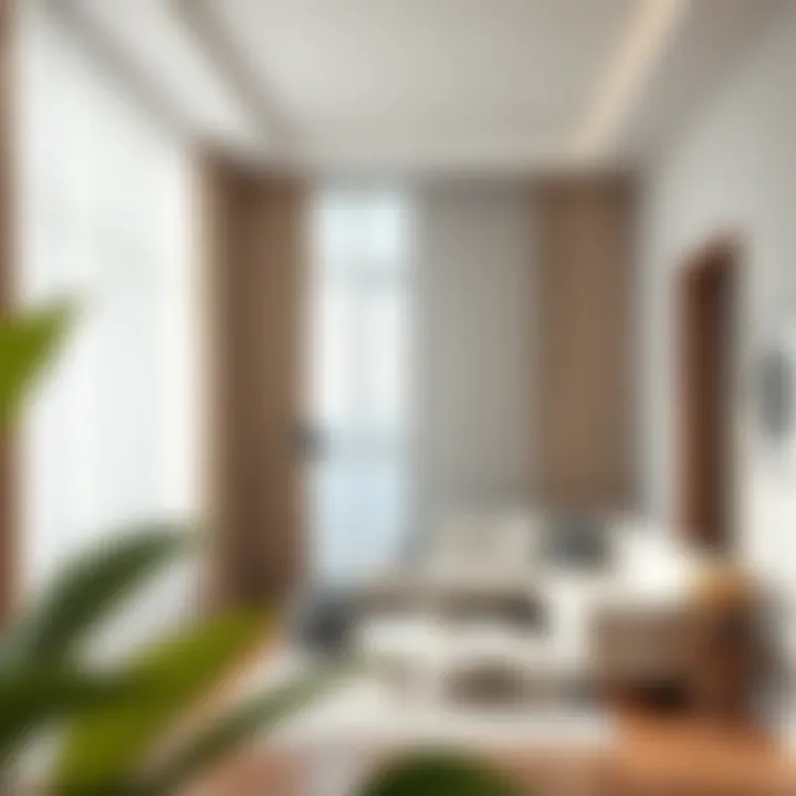 Bright Living Room with Layered Curtains Bright living room showcasing layered curtains