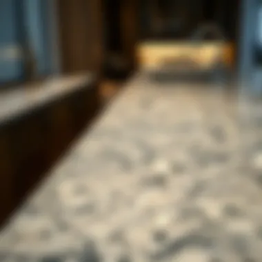 Polished granite surface demonstrating durability and sophistication