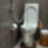 Clean toilet brush in a holder