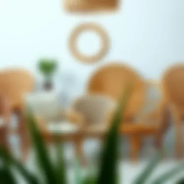 Variety of Rattan Chair Designs Different types of rattan chairs arranged aesthetically