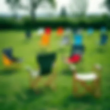 Various designs of foldable camping chairs arranged on grass