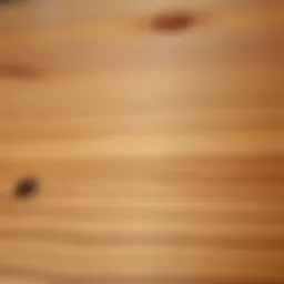 Close-up of wooden surface with filled screw holes