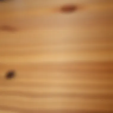 Seamless Wood Finish Close-up of wooden surface with filled screw holes